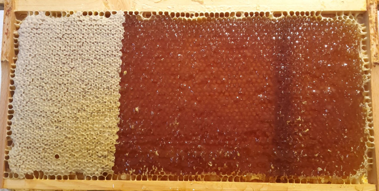 honigwabe entdeckelt